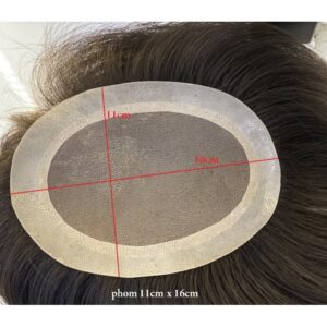 MÁI HÓI NAM SD 2.5 - Ảnh 10